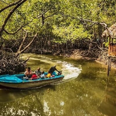 Baratang Island